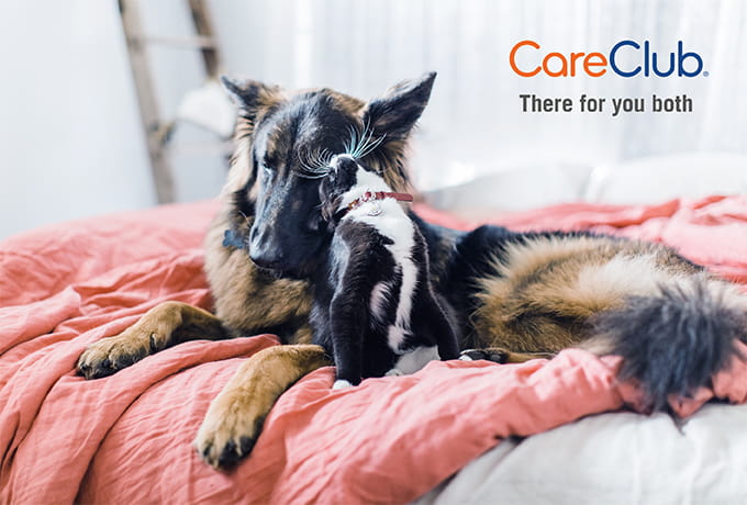 680x460 Shelter CareClub