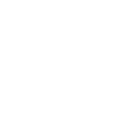 VC 4144 VCA Shelter LP paw graphic