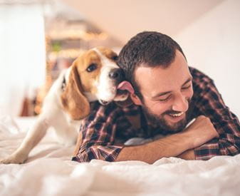 VCA Canada Animal Hospitals