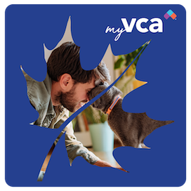 MyVCA Logo