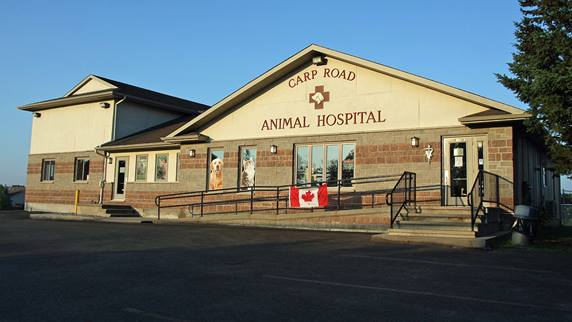 Carp Road Animal hospital
