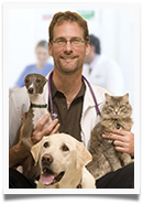 John F. Huff III, VCA Board Certfied Dental Specialist