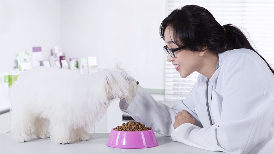 VCA Animal Hospitals Nutrition