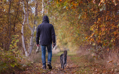 do you burn more calories walking a dog