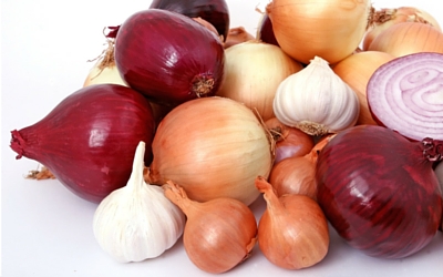 Onion, Garlic, Chive, and Leek Toxicity in Dogs