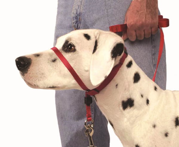 new trix head halter