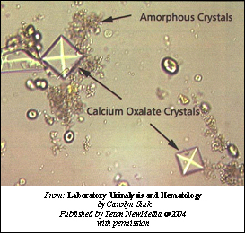 is propylene glycol dangerous for dogs