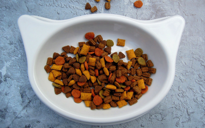 cat_food_dish cat_food_dish