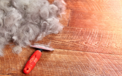 slicker_brush slicker_brush