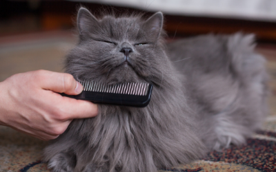 cat_comb cat_comb
