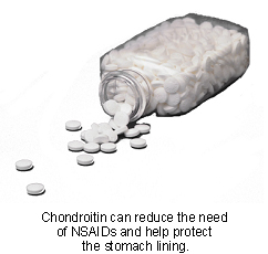 chondroitin-2