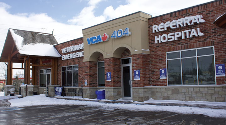 Specialty Veterinarians in Newmarket, ON | 404 Veterinary Emergency and  Referral Hospital