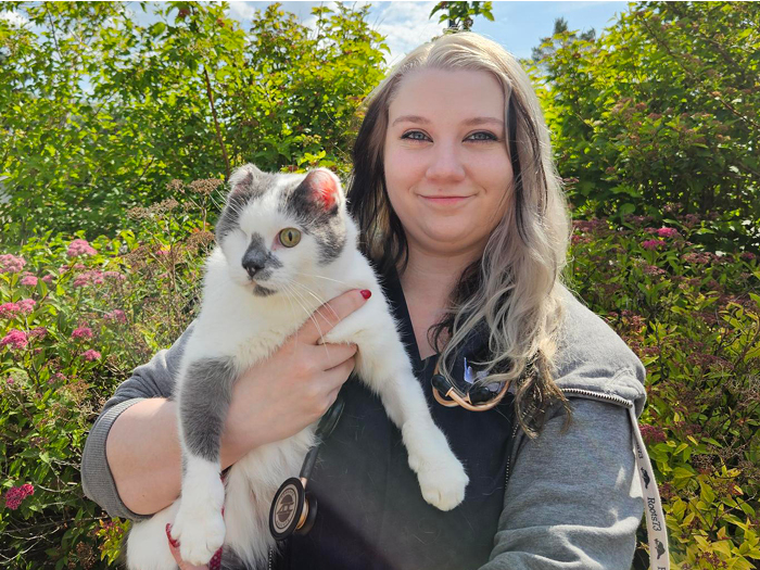 Additional Services Offered