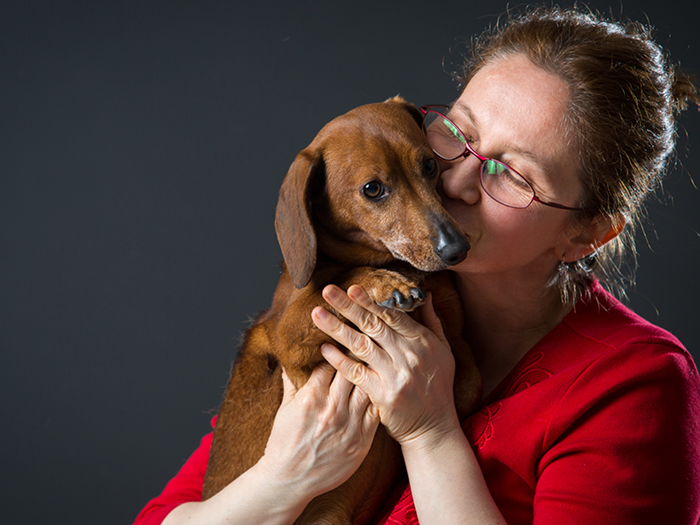 Veterinarian at Alta Vista Animal Hospital