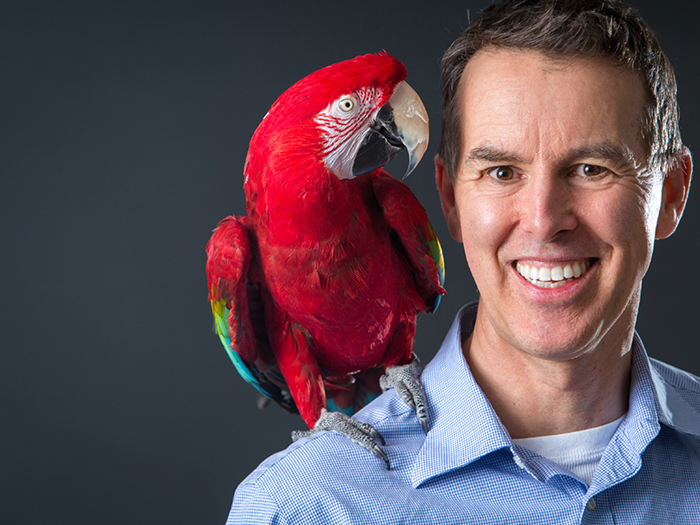 Veterinarian at Alta Vista Animal Hospital