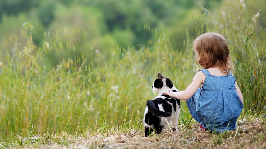 Behaviour Counselling