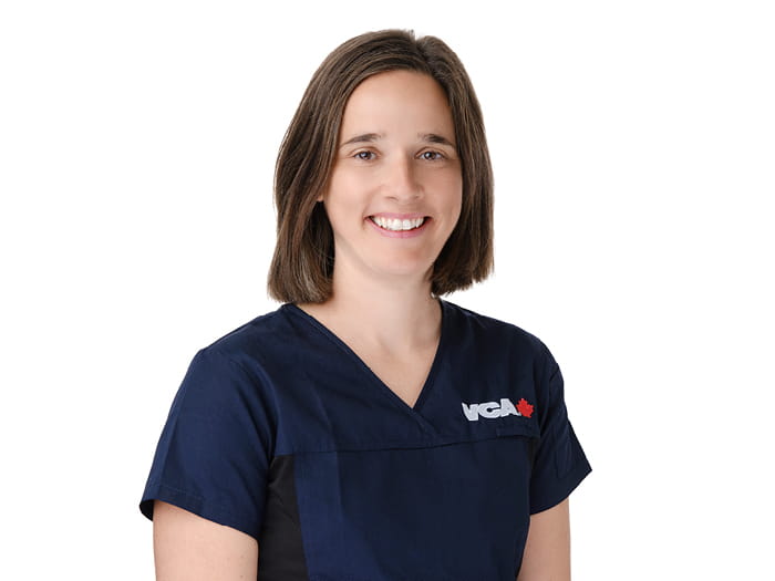 Staff Image