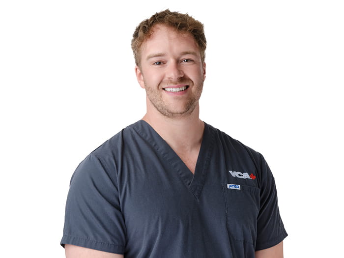 Staff Image