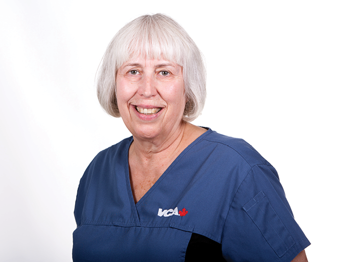 Additional Services Offered