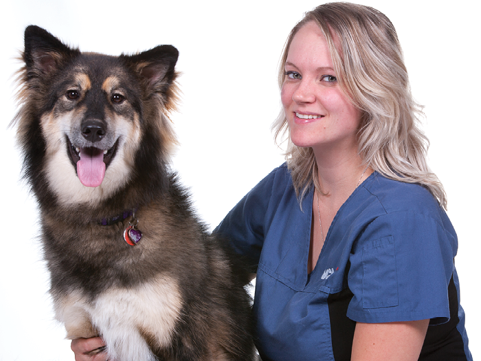 Additional Services Offered