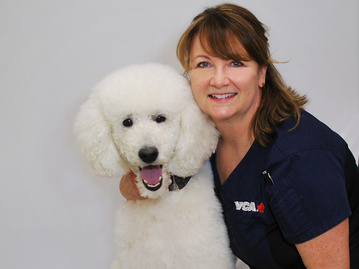 Additional Services Offered