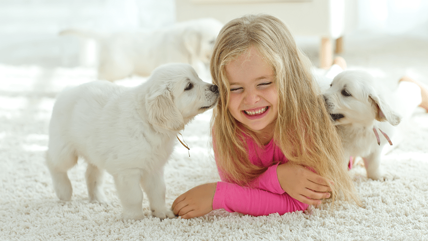 Surgery Services at VCA Canada