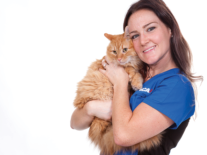 Additional Services Offered