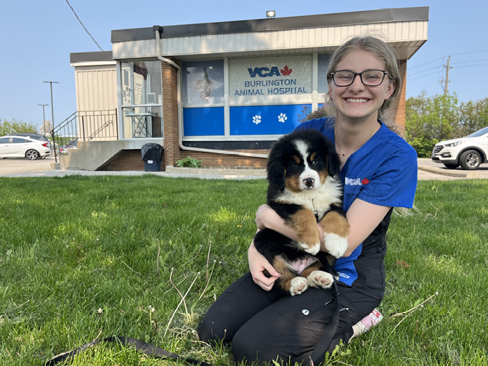 Additional Services Offered