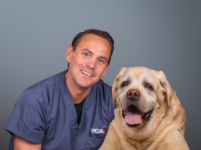 Vca animal discount emergency critical care