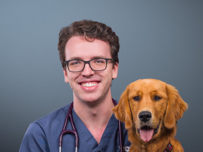 Greenfield veterinary discount