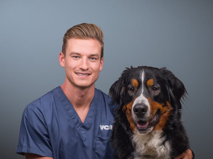 Animal Emergency & Critical Care CARE Centre