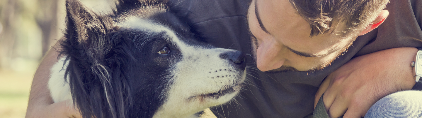 Services at our VCA Canada Animal Hospitals