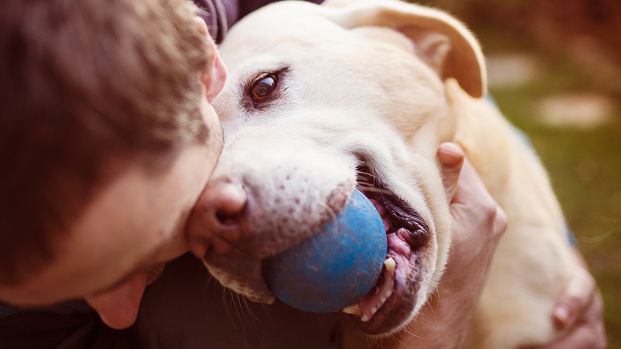 Surgical Services at VCA Canada