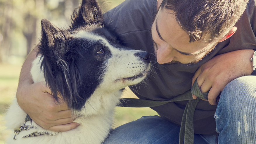 Rehab Services at VCA Canada