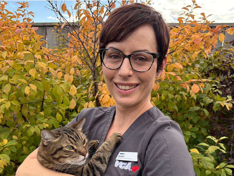 Additional Services Offered