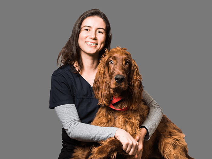 Claudia Villa Central Victoria Veterinary Hospital