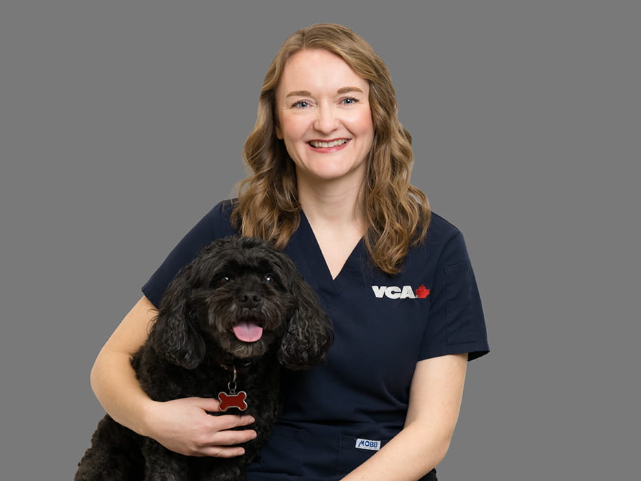 Staff Image