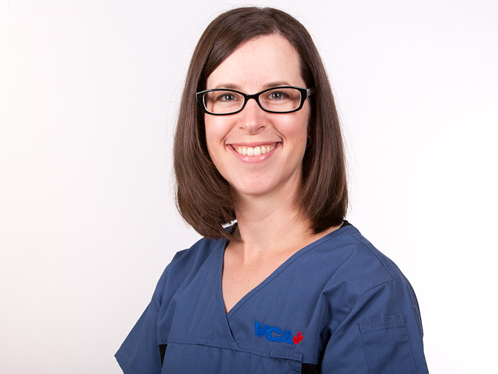 Credit Valley Animal Hospital