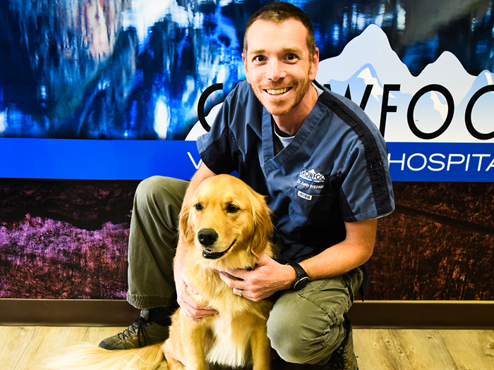 Additional Services Offered