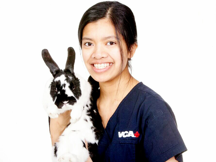 Additional Services Offered