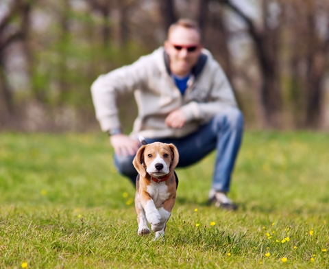 Veterinarians in North York, ON | Don Mills Animal Hospital