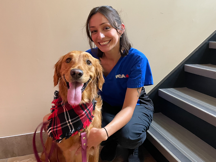 Additional Services Offered