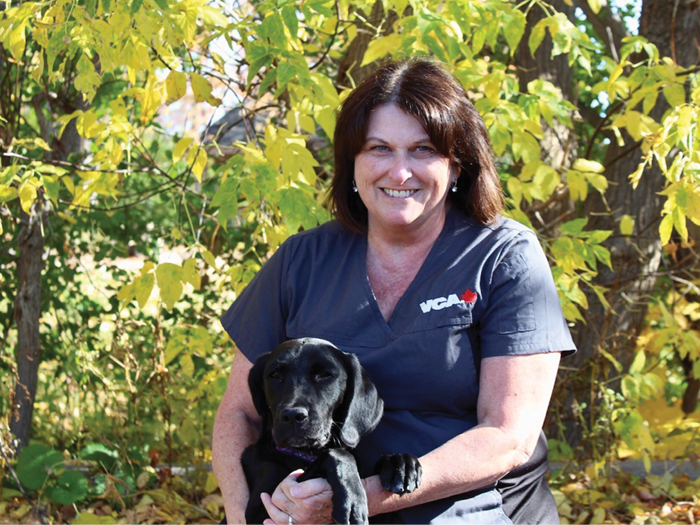 Additional Services Offered