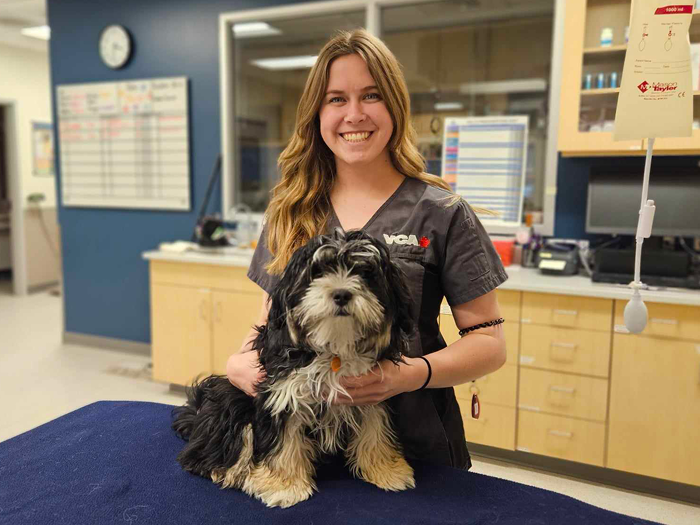 Additional Services Offered