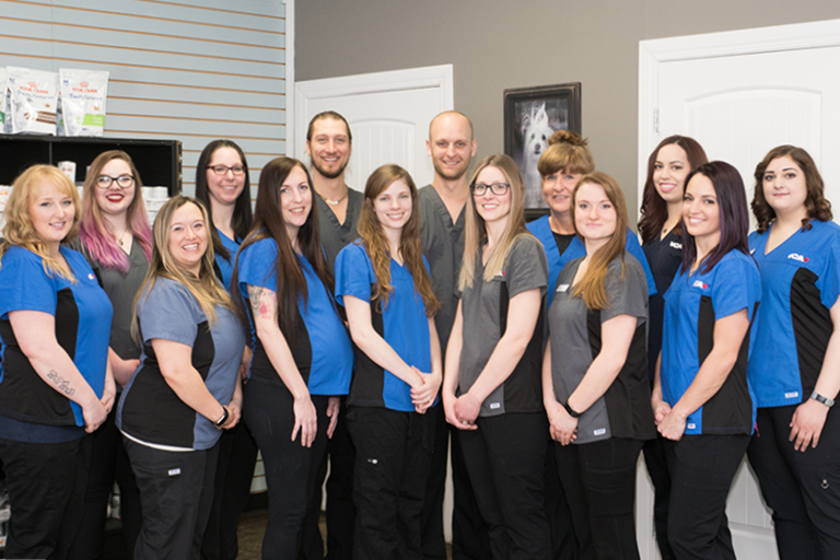Veterinarians in Saskatoon, SK Frontier Animal Hospital