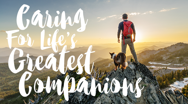 Caring For Life's Greatest Companions