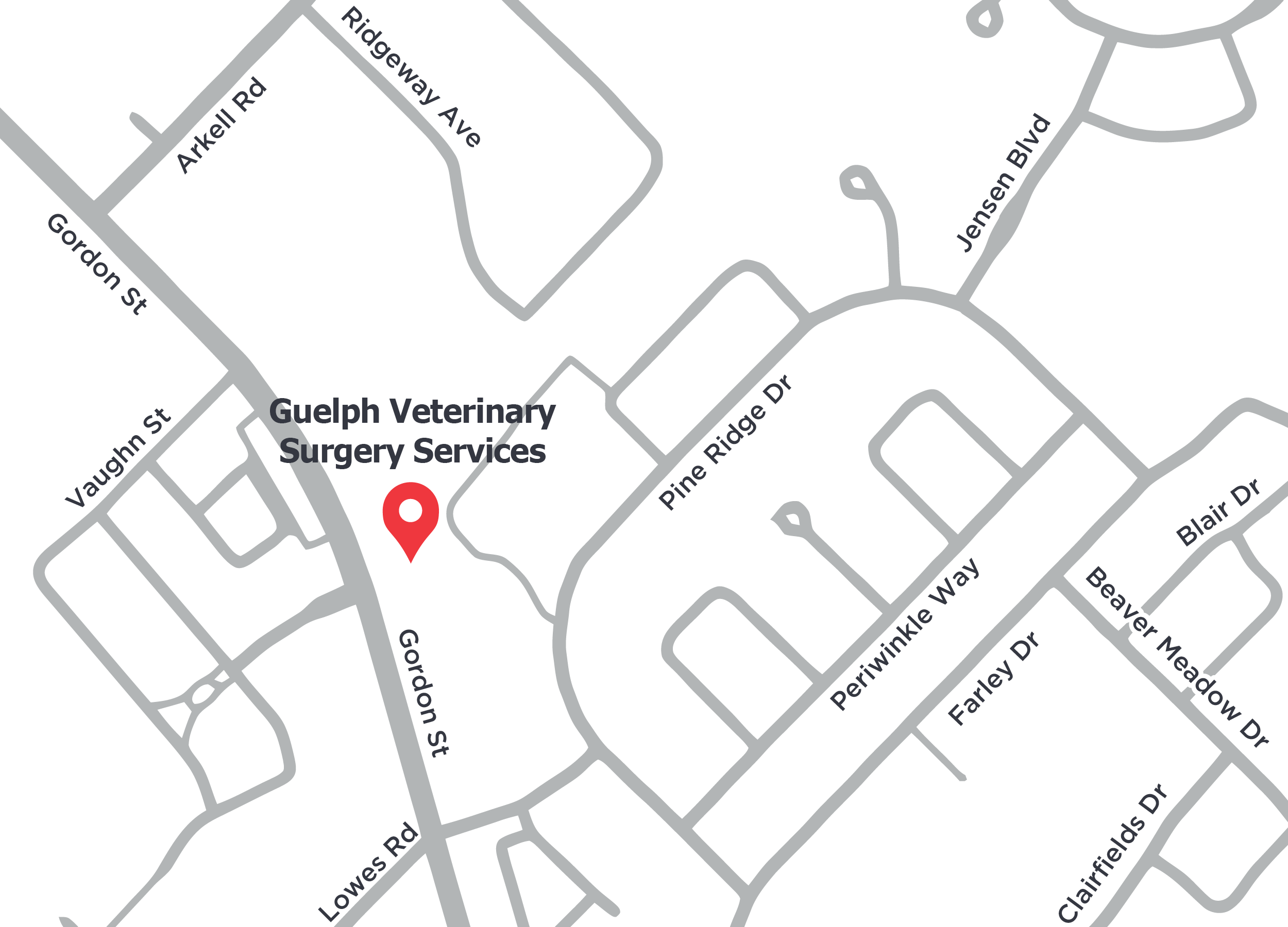 Guelph Veterinary Surgery Services