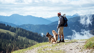 Nutritional Supplements