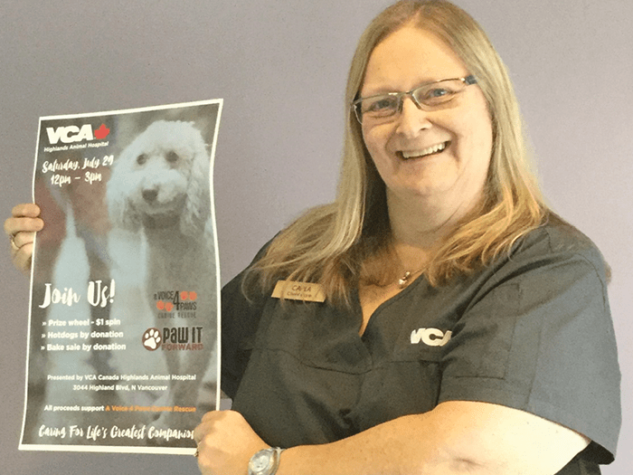 vca highlands animal hospital