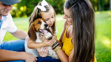 Veterinarians in North Vancouver, BC | Highlands Animal Hospital Veterinarians in North Vancouver, BC | Highlands Animal Hospital